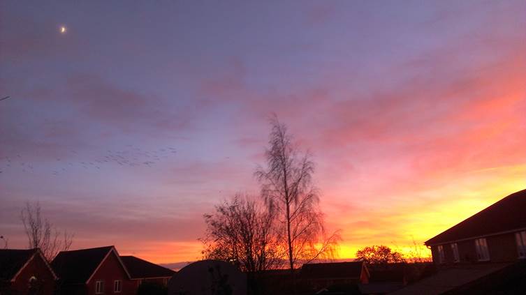 Description: IMAG0294